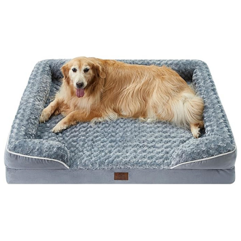 Off the floor dog beds 2025